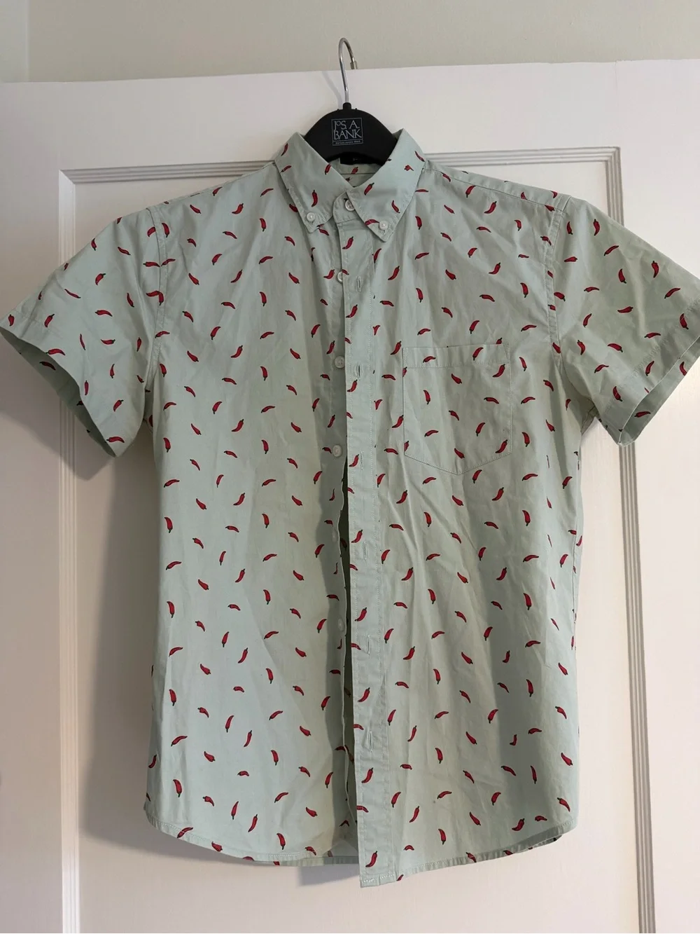 Men's Short-Sleeve Button-Up Shirt - Light Mint with Red Chilli